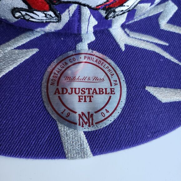 Toronto Raptors Mitchell & Ness Purple Hardwood Classics Earthquake Snapback Hat - Picture 4 of 15